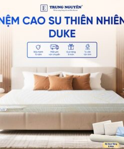 Nệm Cao Su Thiên Nhiên Trung Nguyên Gold