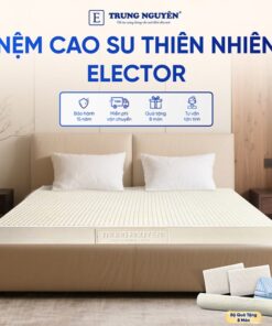 Nệm Cao Su Thiên Nhiên Trung Nguyên Classic