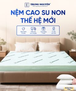 Nệm Cao Su Non Trung Nguyên