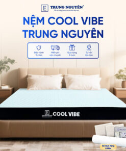 Nệm Cool Vibe Trung Nguyên